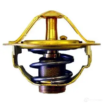 Термостат WAHLER 50 ESXIO 410352.88D 865305 4029783008429