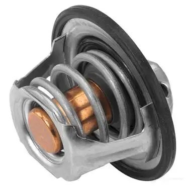 Термостат WAHLER 865372 4029783010521 2W8 ZH 411193.82D изображение 1