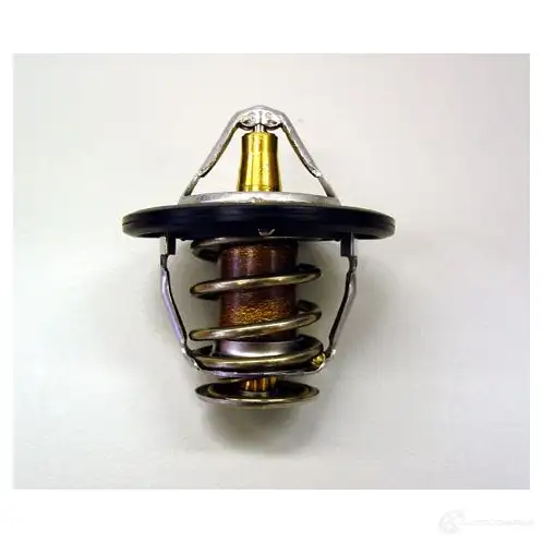 Термостат WAHLER 4029783008139 865284 410181.82D AY BV7Q изображение 0