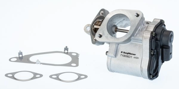 Клапан EGR WAHLER 710938D QV QUB 1440141625 изображение 0
