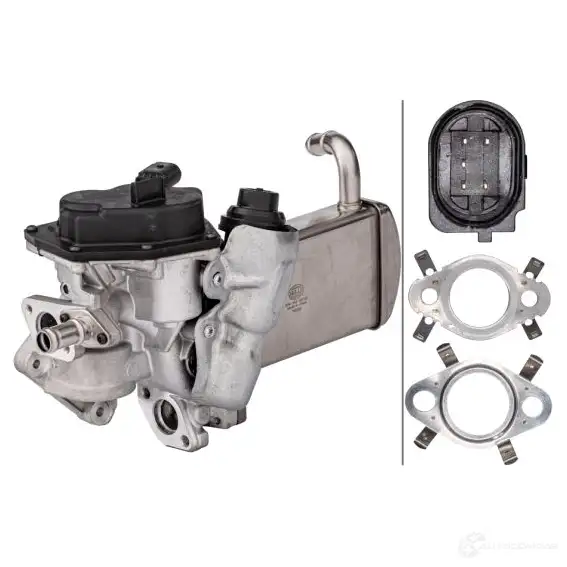 Клапан ЕГР в сборе HELLA BFS7A T 1437950277 6nu358167051