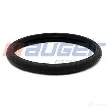 Прокладка водяного насоса, помпы AUGER O4WT I 4051334810168 1424559299 84239