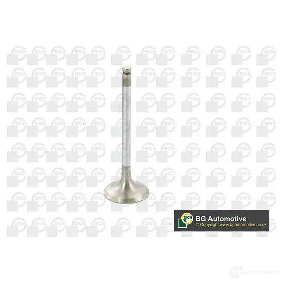 Впускной клапан BGA PX0 PC V164990 1231801279