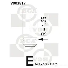 Выпускной клапан BGA 3189500 V003817 1T2FT N0 изображение 0