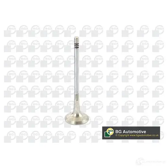 Выпускной клапан BGA 1231801809 AF5Y IN V229667