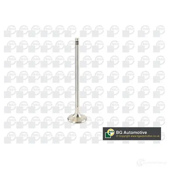 Выпускной клапан BGA 1231803151 DE2H X V969602