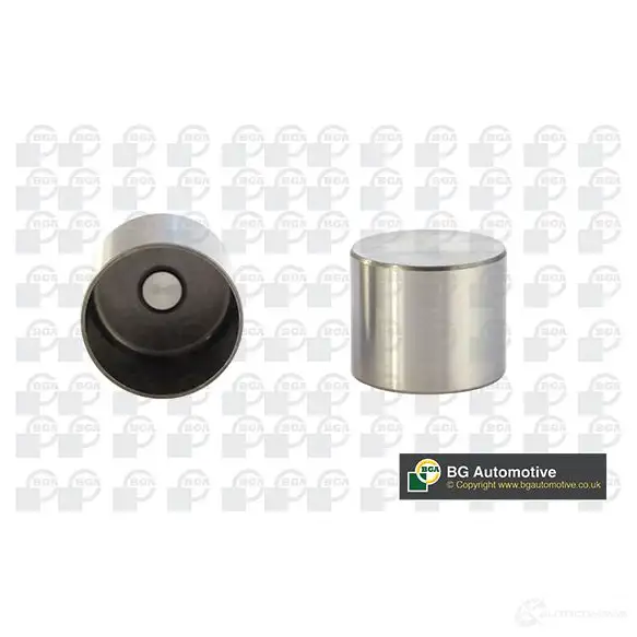 Гидрокомпенсатор BGA 3183945 1X4T SWQ HL9508
