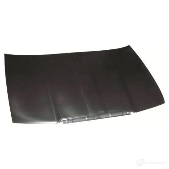 Капот BLIC FGM P39 6803-00-7520280Q 3518136