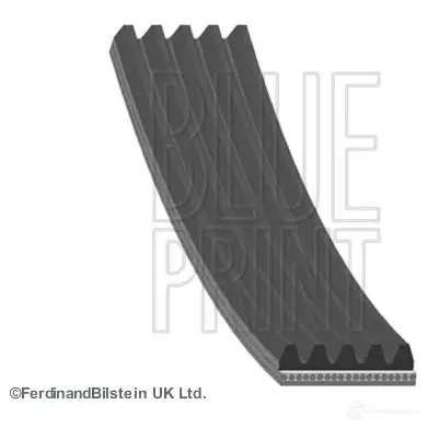 Приводной ремень поликлиновой BLUE PRINT AD05R1165 5PK1163 2636783 5PK116 2
