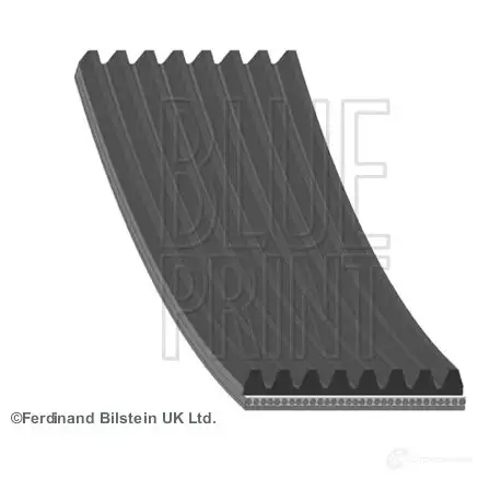 Приводной ремень поликлиновой BLUE PRINT 2637118 8PK1308 AD08R1310 8P K1307