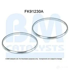 Крепление катализатора, набор BM CATALYSTS AU 6AQ 2868291 fk91230