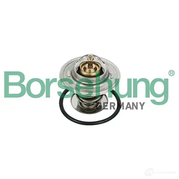 Термостат BORSEHUNG B18231 4251475106971 HG K0IJ 3984203