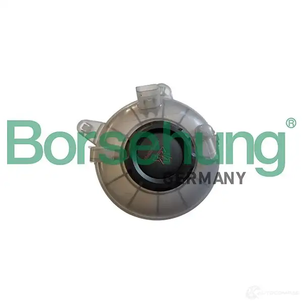 Расширительный бачок BORSEHUNG W33 JS 1437945642 B11941