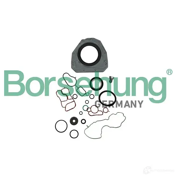 Комплект прокладок двигателя BORSEHUNG B19189 1438809833 BBHY G