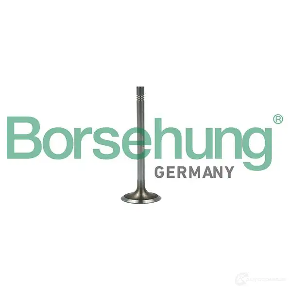Впускной клапан BORSEHUNG 1424578655 B19022 4251475114921 BMY 20D изображение 0