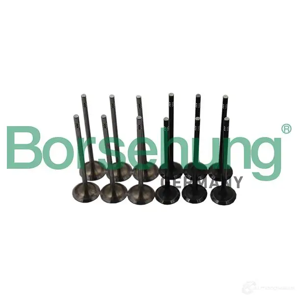 Комплект клапанов BORSEHUNG B19160 1438907654 E9Y7 AL