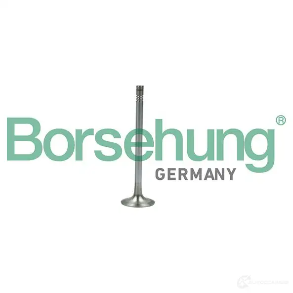 Выпускной клапан BORSEHUNG 1424578640 7S P4V 4251475114778 B19007