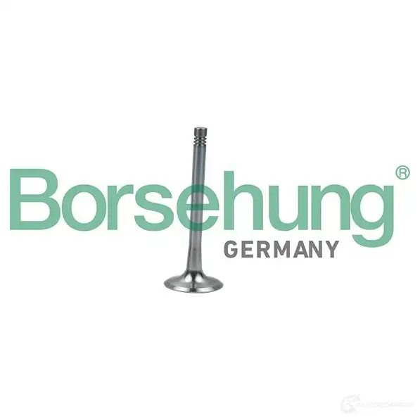 Выпускной клапан BORSEHUNG 1424578641 4251475114785 0 71GC3 B19008