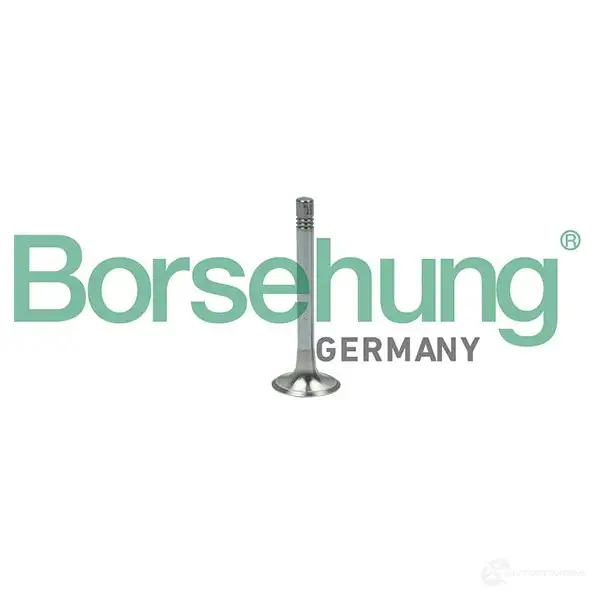 Выпускной клапан BORSEHUNG 4251475114693 1424578632 A XO86NA B18999 изображение 0