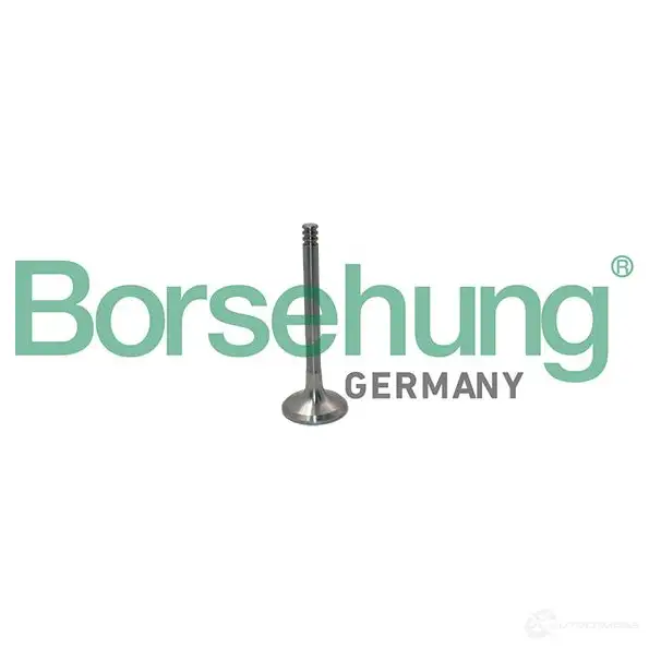 Выпускной клапан BORSEHUNG QZ LGA B19012 1424578645 4251475114822