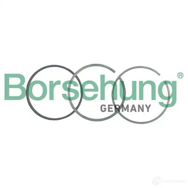 Комплект поршневых колец BORSEHUNG B19046 1424272626 QIAM R 4251475115164