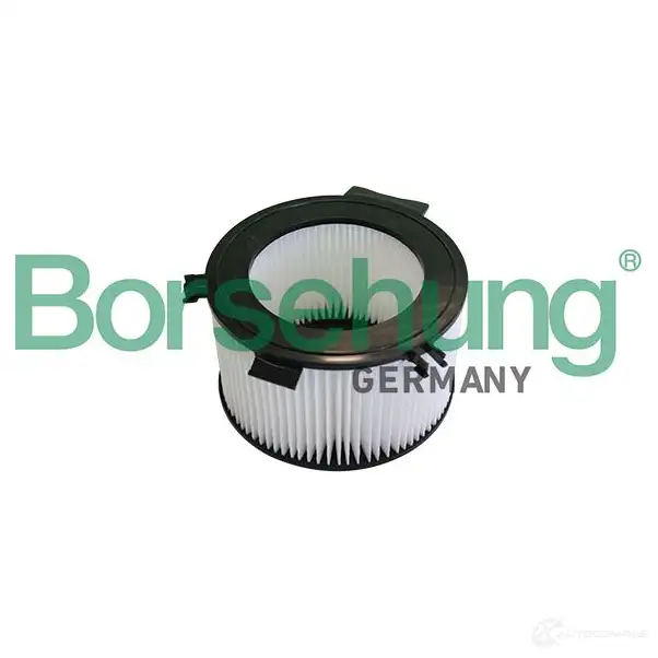 Салонный фильтр BORSEHUNG M4TTG A 1439062413 B10549