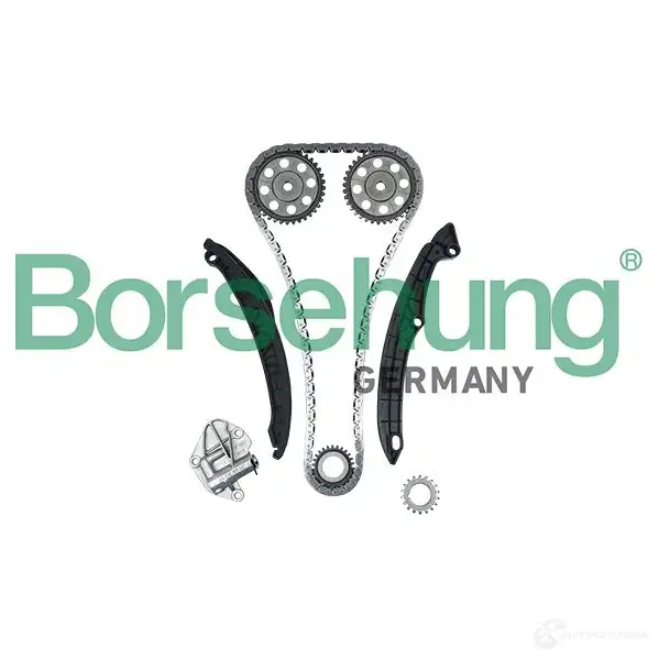 Комплект цепи ГРМ BORSEHUNG 4251475104335 B16296 3TM 8AS 1272301684 изображение 2