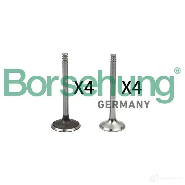 Регулятор давления BORSEHUNG 3O78 SYY 1439468901 B18766