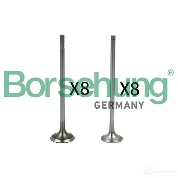 Регулятор давления BORSEHUNG B18632 9 FXYL 1439468913
