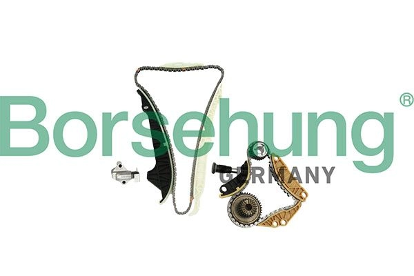 Комплект цепи ГРМ BORSEHUNG EN 2V2M 1440297337 B10220