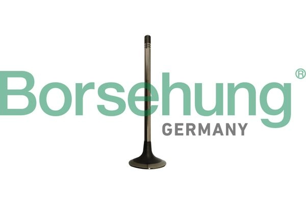 Выпускной клапан BORSEHUNG WCC 2H B10333 1440297371