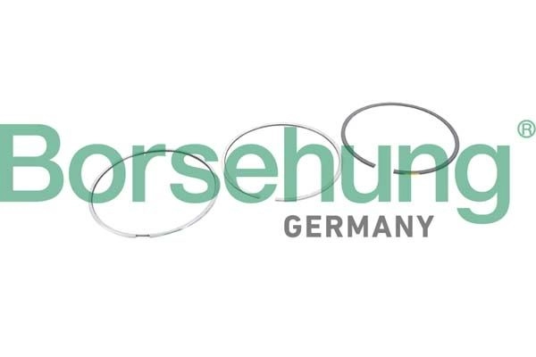 Комплект поршневых колец BORSEHUNG 9ILRAY O 1440297393 B10368