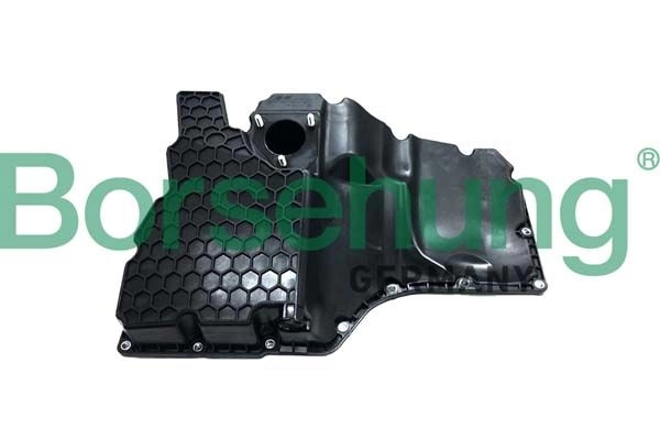 Масляный поддон двигателя BORSEHUNG B10658 1440297484 IAAKR 5