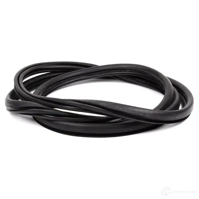Уплотнитель лобового стекла BMW 51311972248 1425250534 F9 2688 - Изображение 1