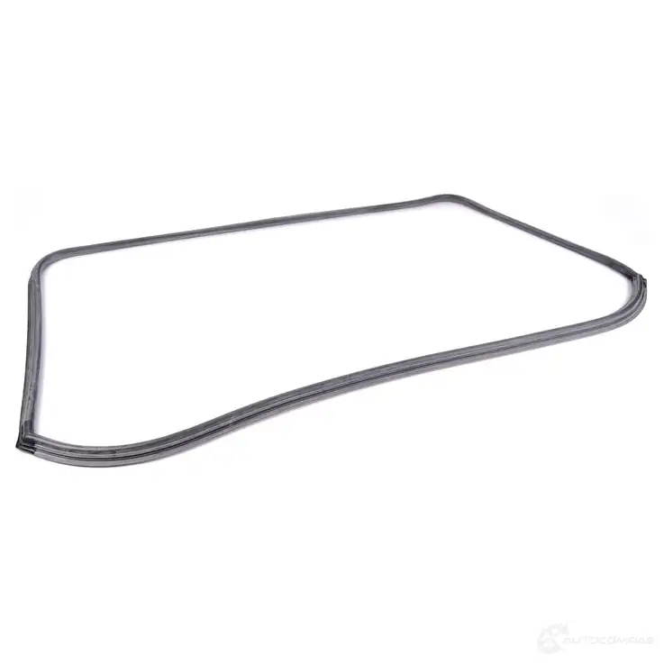 Windshield Seal BMW 1439634698 M NW7D 51311822185 - Изображение 1