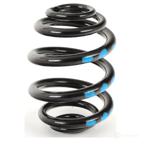 Пружина BMW 33 53 2 282 632 21432846 3EJJ V - Изображение 1