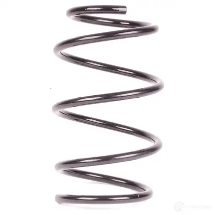 Пружины подвески передние BMW 23182072 31 33 6 756 965 DEY PRDZ - Изображение 1
