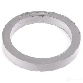 Уплотнительное кольцо выпускного коллектора BMW 18407530606 22231200 GL IRTAB изображение 1