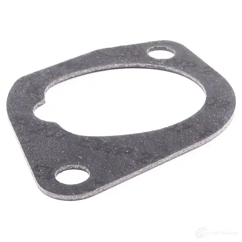 Прокладка впускного коллектора BMW 11611726010 79MI G 22226010 - Изображение 1
