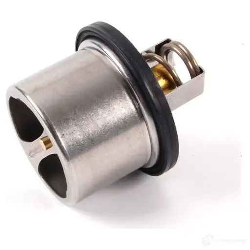 Термостат ож BMW 25625744 4LKM NX 11537836155 - Изображение 1