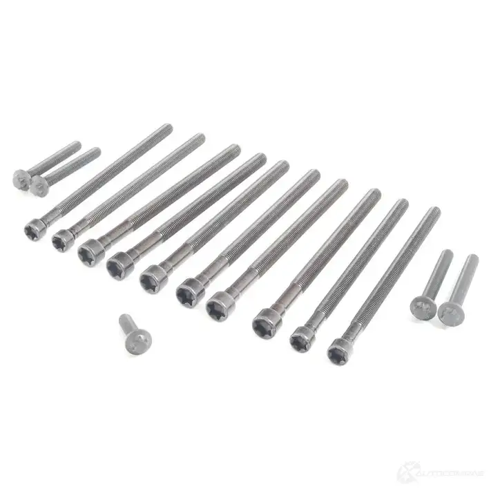 Болты ГБЦ, головки блока цилиндров BMW 7K4Y J 11 12 2 212 157 22202840 - Изображение 1