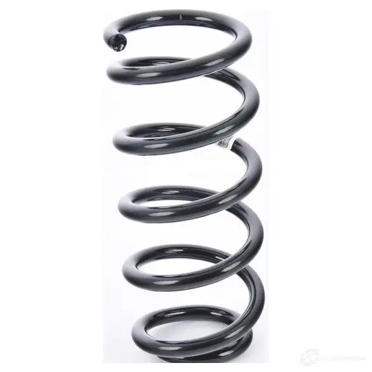 Пружина подвески задняя BMW VIHQW UO 33 53 9 806 823 21436618 - Изображение 1
