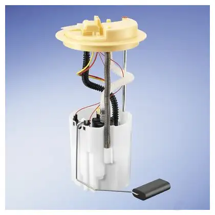 Топливный насос BOSCH FSM-D. 46-DCSI 2PKGS1X 330167 0580203022