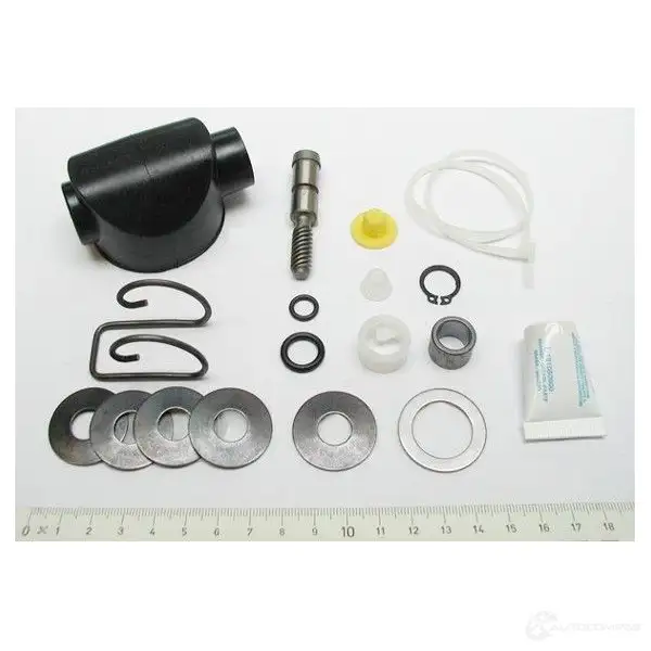 Ремкомплект суппорта BOSCH 0204104066 RG 608 WBIM5BD 307001
