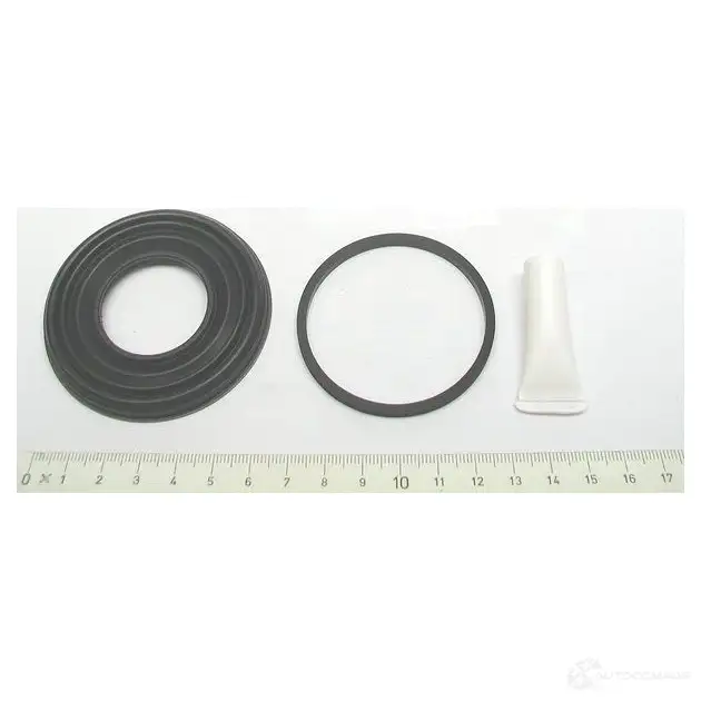Ремкомплект суппорта BOSCH 1987470497 3GWNZ RH0 85 351418