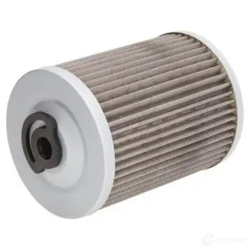 Топливный фильтр BOSS FILTERS 1438785348 bs04219 W6 VEL - Изображение 1