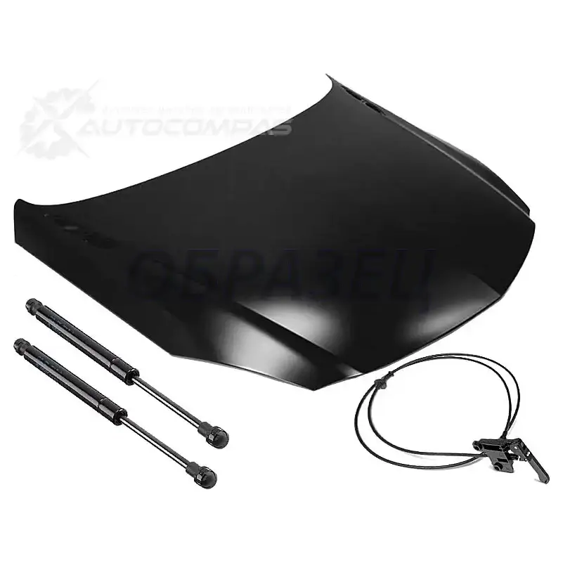 Молдинг капота передний хром SIGNEDA 1438069489 PFD07292(K)MA F4PY FBT изображение 0