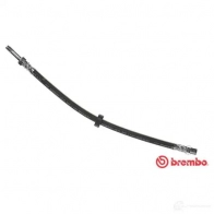 Тормозной шланг BREMBO 8432509651490 T 86 026 ATD3 SG 803596 - Изображение 3