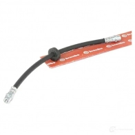 Тормозной шланг BREMBO 8432509618141 7 JUQV 803435 T 85 030 - Изображение 2