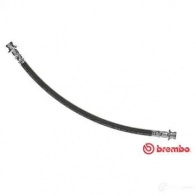 Тормозной шланг BREMBO 8432509650080 T 56 141 Nissan Micra (K12) 3 Хэтчбек 1.5 dCi 65 л.с. 2003 – 2010 ZT31 4